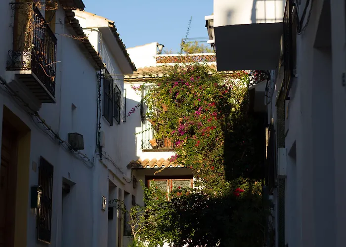 Otel Abaco