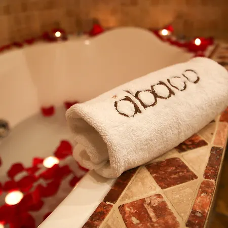 阿巴科阿尔特亚酒店 酒店