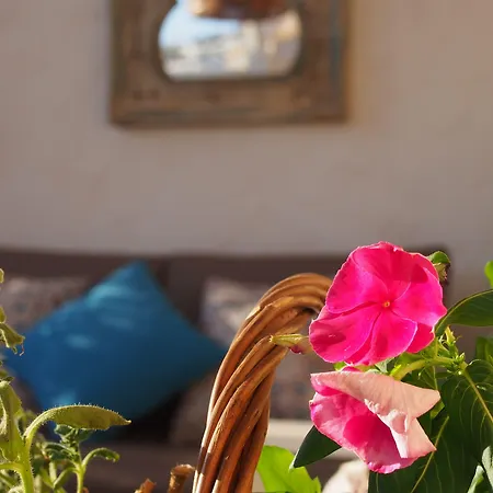 Abaco Altea