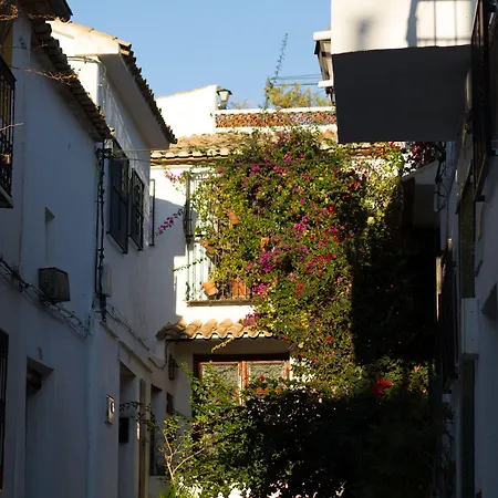 Hotel Abaco