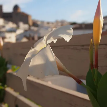 酒店 阿巴科阿尔特亚酒店 3*